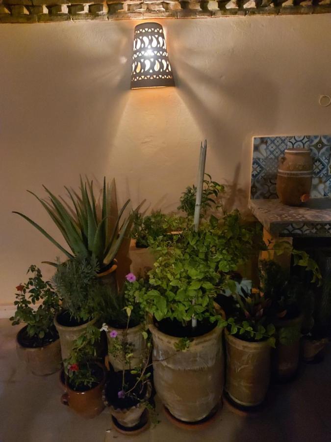 Riad Dar Karam Marakéš Exteriér fotografie